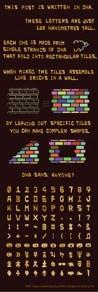 Illustration for article titled Harvard Scientists Make Graphic Designers Look Lazy by Using DNA to Create a New Font